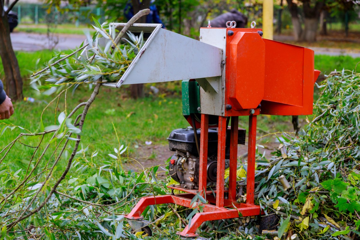 Optimisation de l'espace : le denqbar 5 1 kW dans les petits jardins