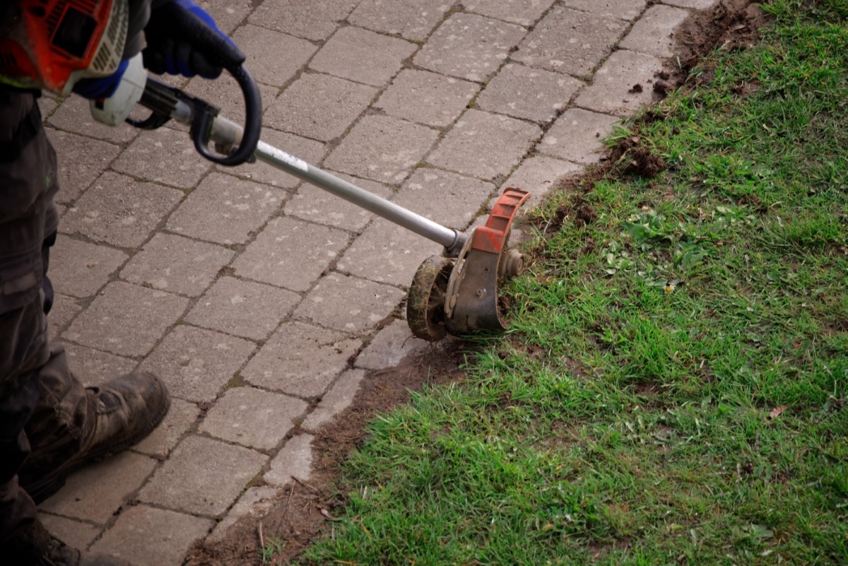 Choisir le coupe-bordure optimal pour votre jardin de ville