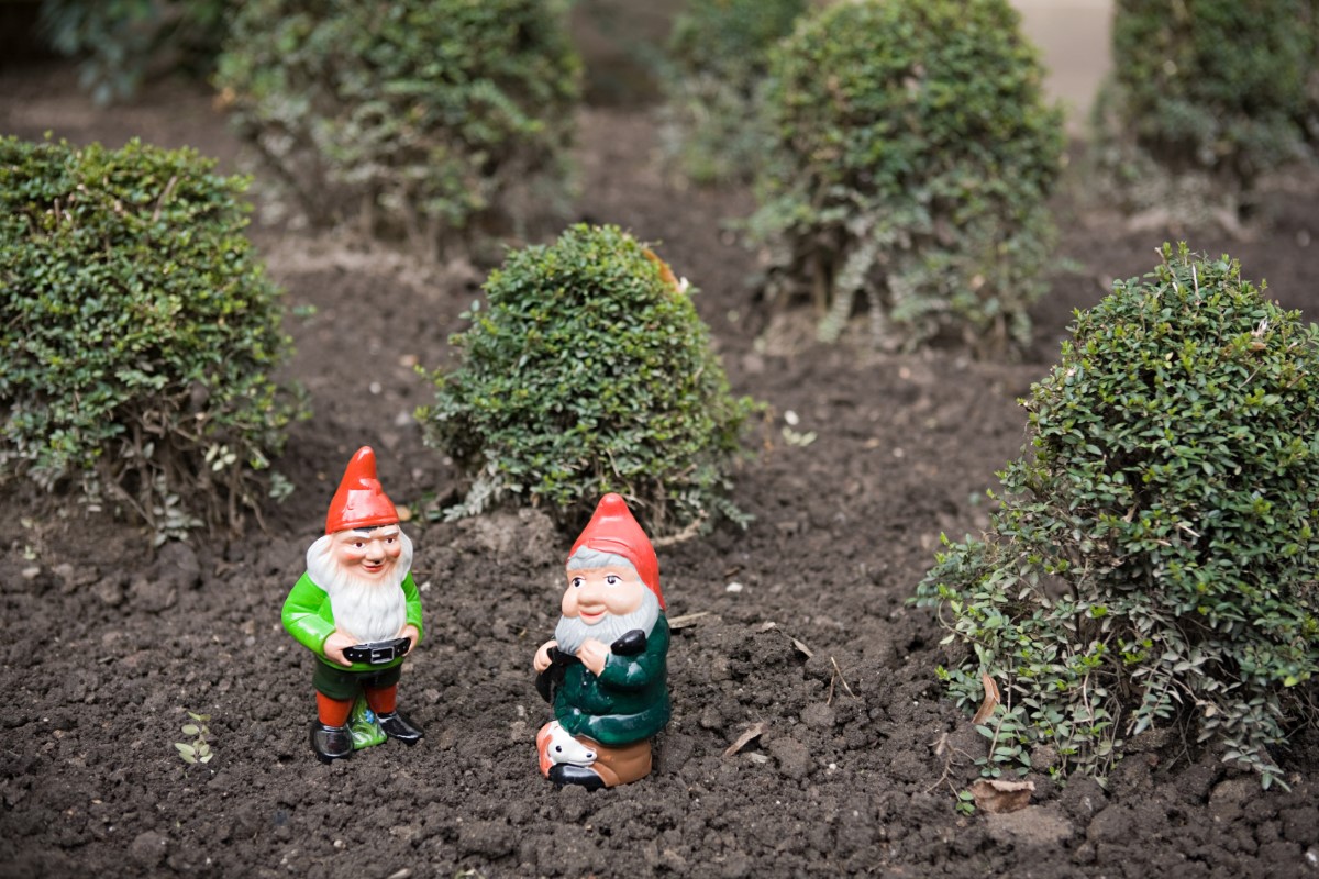 Comment choisir le nain de jardin parfait pour votre espace extérieur