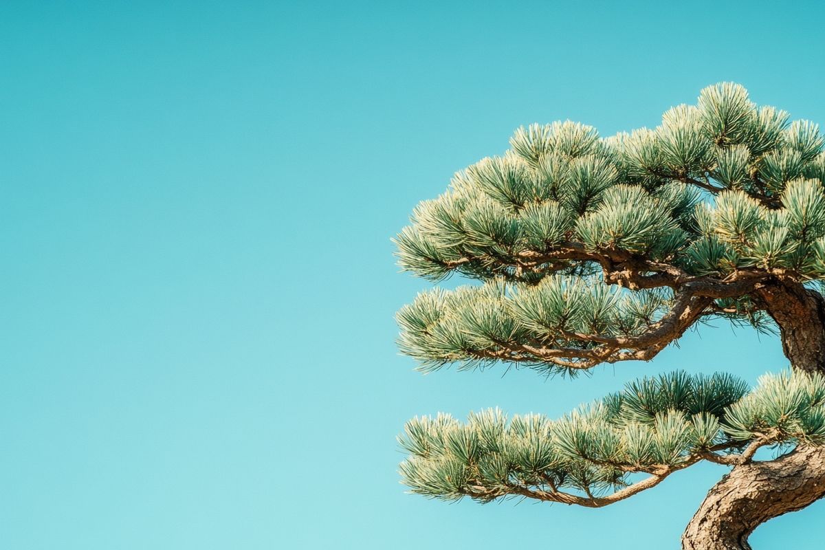 Comment tailler un sapin : du matériel à utiliser pour un résultat parfait